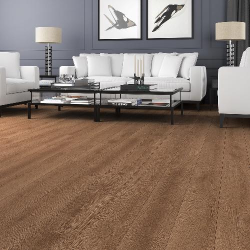 Parchet laminat (2103) Parchet laminat CAMSAN Platinum Albero Oak  (10mm/32cl/V4)