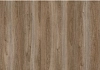 Ламинат (5008) CAMSAN SILVER Polar Oak (8mm/31cl)