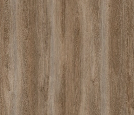Ламинат (5008) CAMSAN SILVER Polar Oak (8mm/31cl)