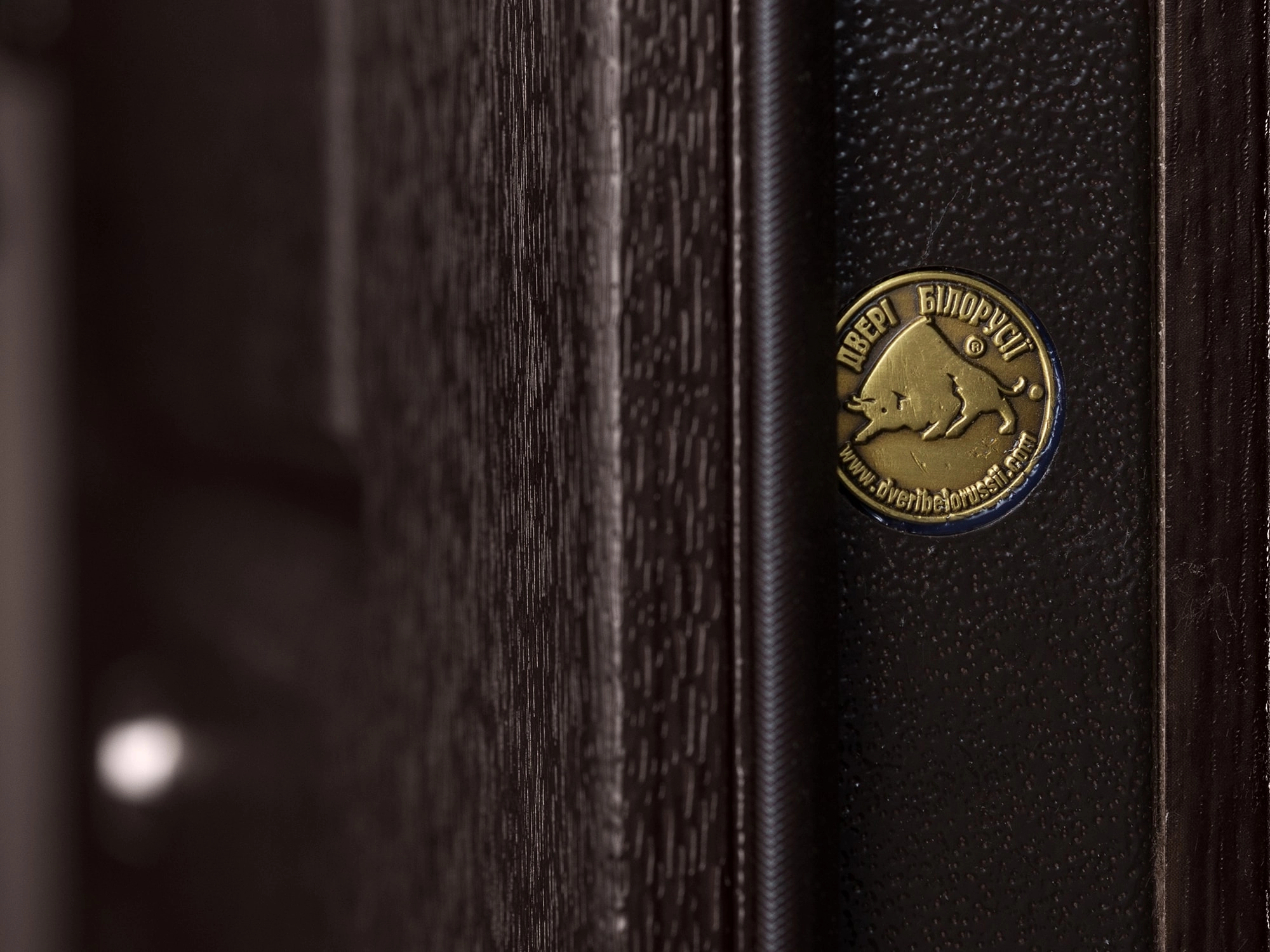 Входная дверь ЛЕСТНИЦА дуб тёмный / дуб тёмный (уточняйте наличие - 0 22 89 69 69)